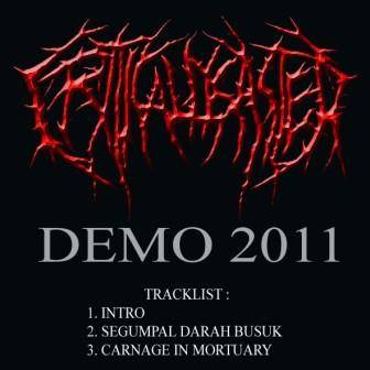 Critical Disaster : Demo 2011